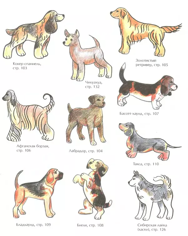 Д Селиверстова - Рисование. Первые шаги - Страница № 356 Д Селиверстова - Рисование. Первые шаги - Страница № 356