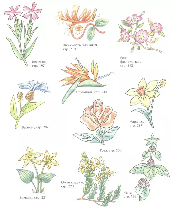 Д Селиверстова - Рисование. Первые шаги - Страница № 365 Д Селиверстова - Рисование. Первые шаги - Страница № 365