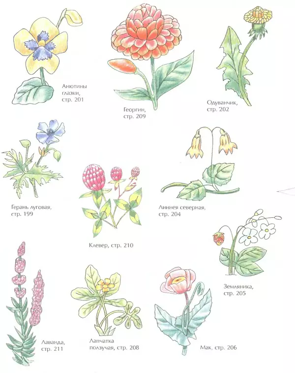 Д Селиверстова - Рисование. Первые шаги - Страница № 366 Д Селиверстова - Рисование. Первые шаги - Страница № 366