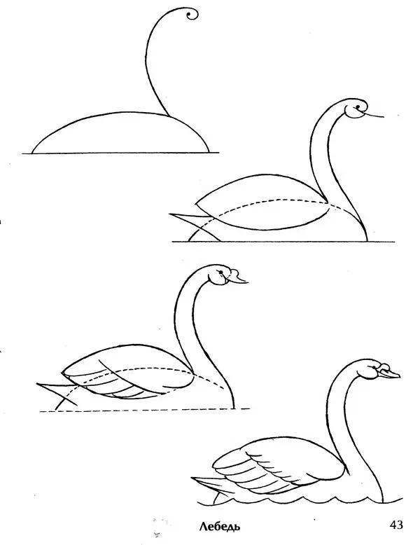 Д Селиверстова - Рисование. Первые шаги - Страница № 41 Д Селиверстова - Рисование. Первые шаги - Страница № 41