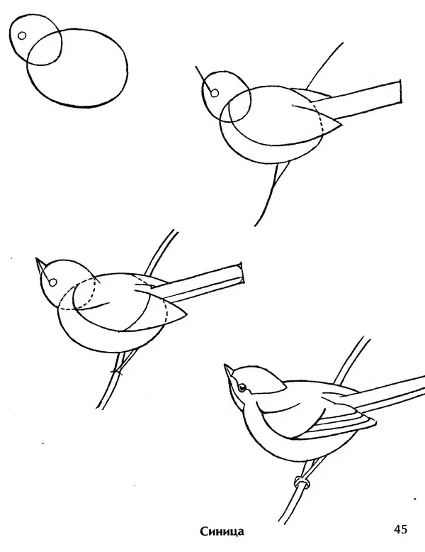 Д Селиверстова - Рисование. Первые шаги - Страница № 43 Д Селиверстова - Рисование. Первые шаги - Страница № 43