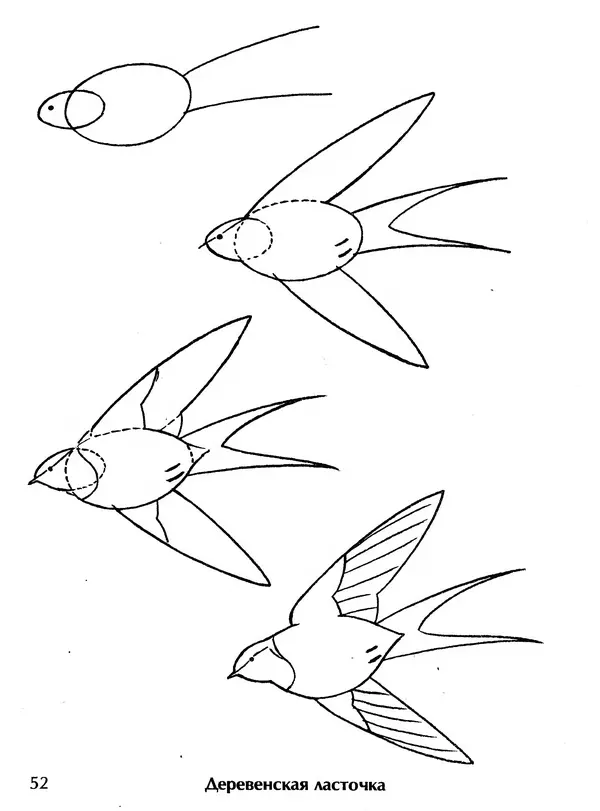Д Селиверстова - Рисование. Первые шаги - Страница № 50 Д Селиверстова - Рисование. Первые шаги - Страница № 50