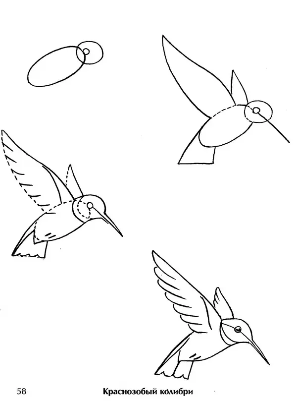 Д Селиверстова - Рисование. Первые шаги - Страница № 56 Д Селиверстова - Рисование. Первые шаги - Страница № 56