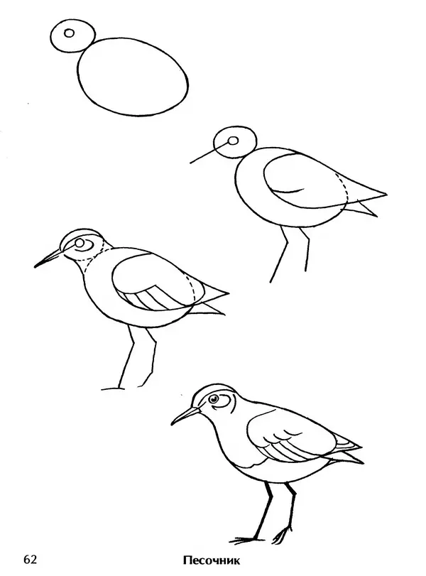 Д Селиверстова - Рисование. Первые шаги - Страница № 60 Д Селиверстова - Рисование. Первые шаги - Страница № 60