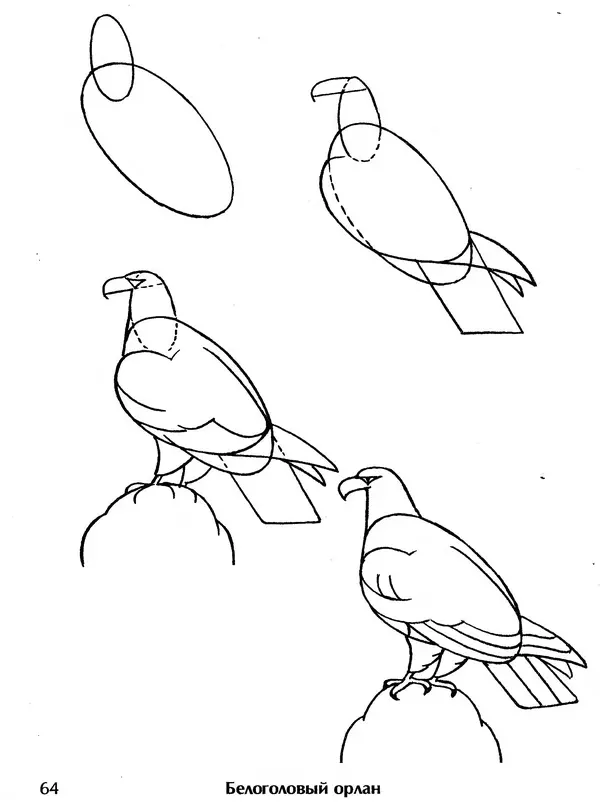 Д Селиверстова - Рисование. Первые шаги - Страница № 62 Д Селиверстова - Рисование. Первые шаги - Страница № 62
