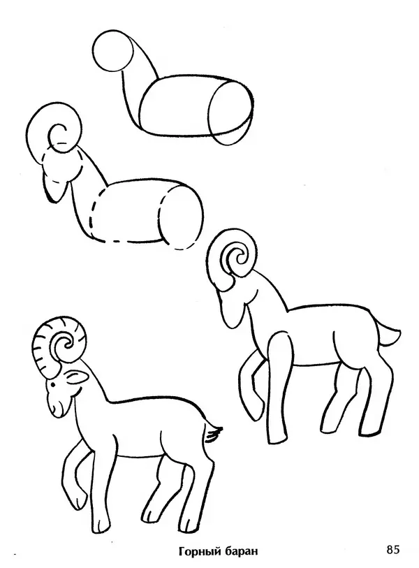 Д Селиверстова - Рисование. Первые шаги - Страница № 82 Д Селиверстова - Рисование. Первые шаги - Страница № 82