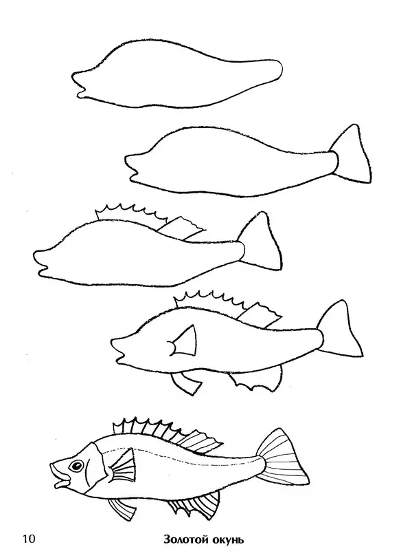 Д Селиверстова - Рисование. Первые шаги - Страница № 9 Д Селиверстова - Рисование. Первые шаги - Страница № 9