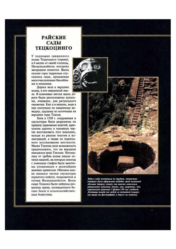  Автор неизвестен - Ацтеки. Империя крови и величия - Страница № 132