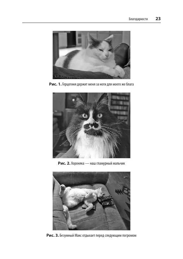 Карла Шрёдер - Linux. Книга рецептов - Страница № 23