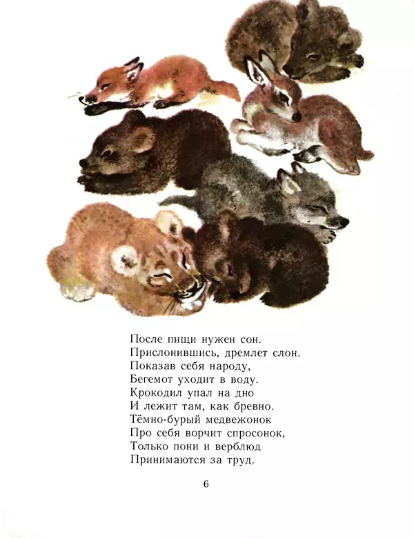 Евгений Чарушин - Детки в клетке - Страница № 7