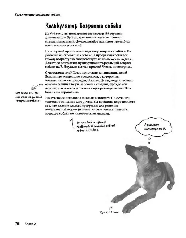Эрик Фримен - Учимся программировать с примерами на Python - Страница № 71