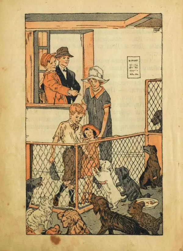 Мабель Джонсон - Дот и Дэвид - Страница № 14