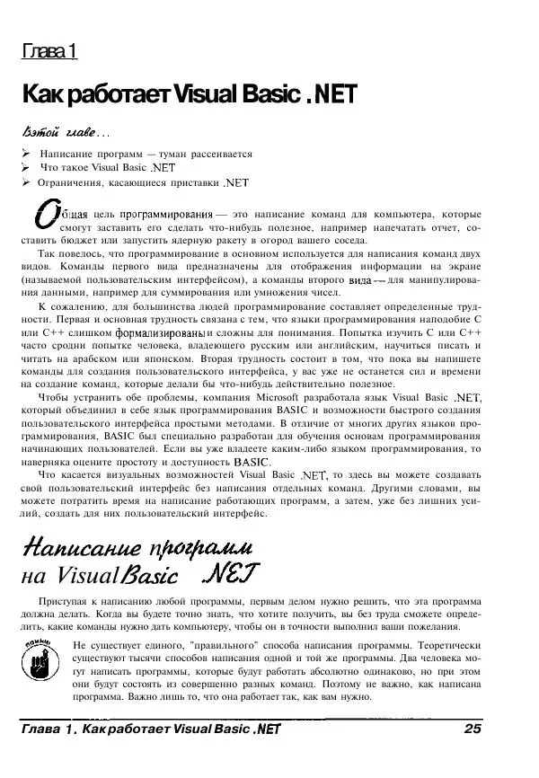 Уоллес Вонг - Visual Basic .NET для "чайников". - Страница № 26