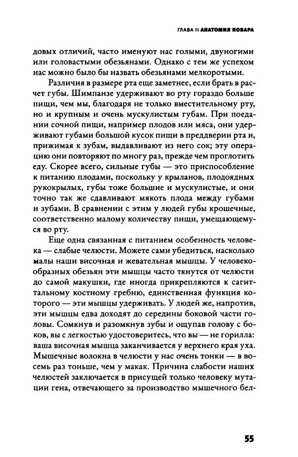 Ричард Рэнгем - Зажечь огонь. Как кулинария сделала нас людьми - Страница № 60 Ричард Рэнгем - Зажечь огонь. Как кулинария сделала нас людьми - Страница № 60