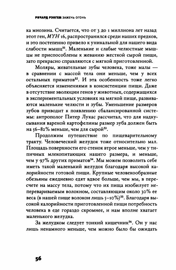 Ричард Рэнгем - Зажечь огонь. Как кулинария сделала нас людьми - Страница № 61 Ричард Рэнгем - Зажечь огонь. Как кулинария сделала нас людьми - Страница № 61