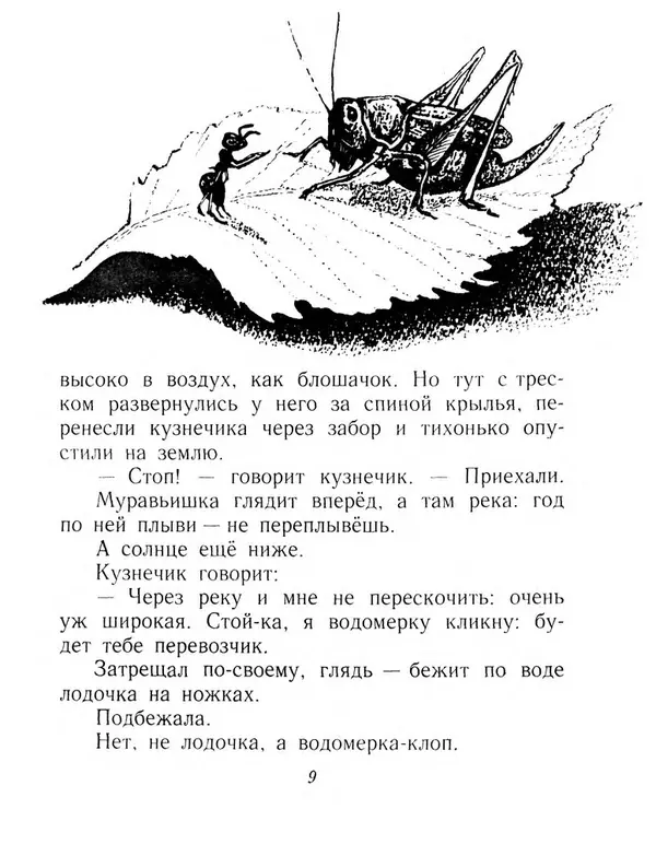 Виталий Бианки - Плавунчик - Страница № 11 Виталий Бианки - Плавунчик - Страница № 11