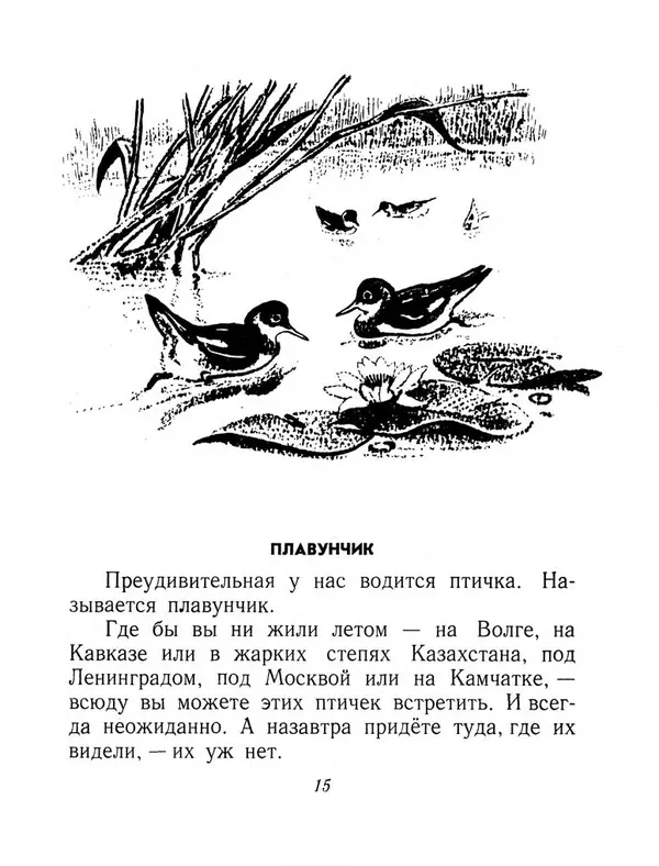 Виталий Бианки - Плавунчик - Страница № 17 Виталий Бианки - Плавунчик - Страница № 17
