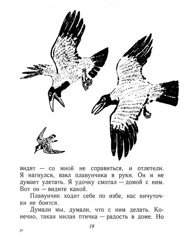Виталий Бианки - Плавунчик - Страница № 21 Виталий Бианки - Плавунчик - Страница № 21