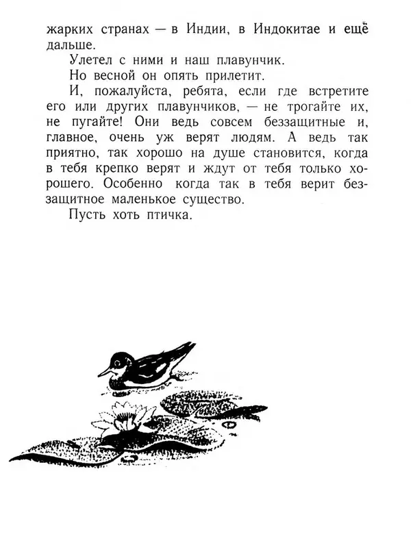 Виталий Бианки - Плавунчик - Страница № 24 Виталий Бианки - Плавунчик - Страница № 24
