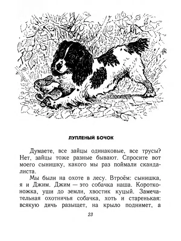 Виталий Бианки - Плавунчик - Страница № 25 Виталий Бианки - Плавунчик - Страница № 25