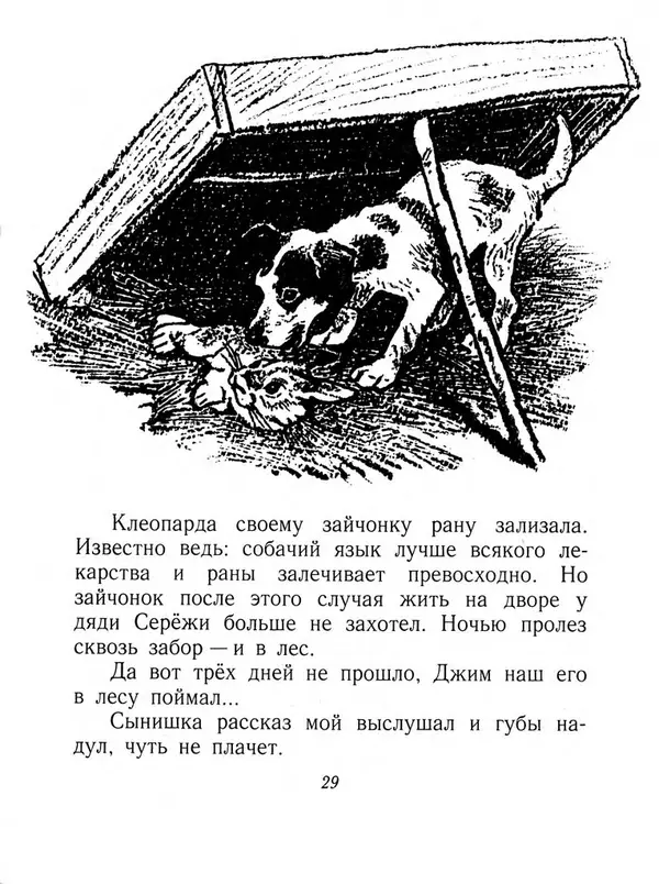 Виталий Бианки - Плавунчик - Страница № 31 Виталий Бианки - Плавунчик - Страница № 31