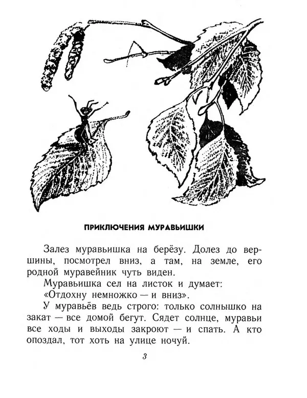 Виталий Бианки - Плавунчик - Страница № 5 Виталий Бианки - Плавунчик - Страница № 5