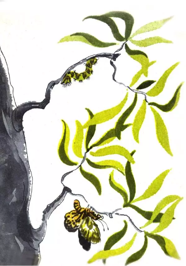 Борис Заходер - Русачок - Страница № 35