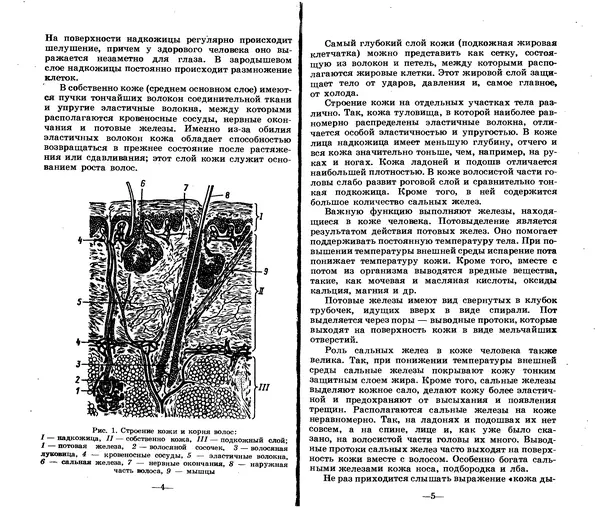 Анатолий Константинов - Как стать парихмахером - Страница № 2