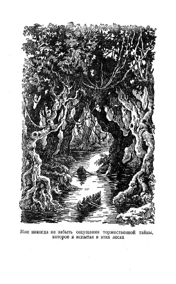 Артур Конан Дойль - Затерянный мир - Страница № 86 Артур Конан Дойль - Затерянный мир - Страница № 86