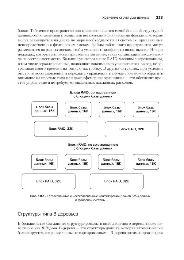 Лейн Кэмпбелл - Базы данных. Инжиниринг надежности - Страница № 223