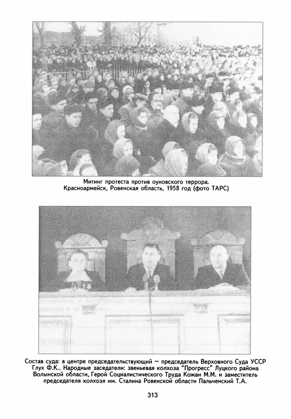 Сборник Статей - Документы изобличают (Сборник документов и материалов о сотрудничестве украинских националистов со спецслужбами фашистской Германии) - Страница № 314