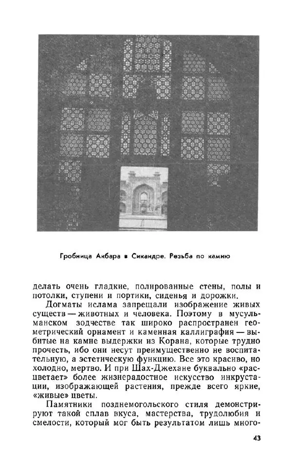Леонид Алаев - Такой я видел Индию - Страница № 45