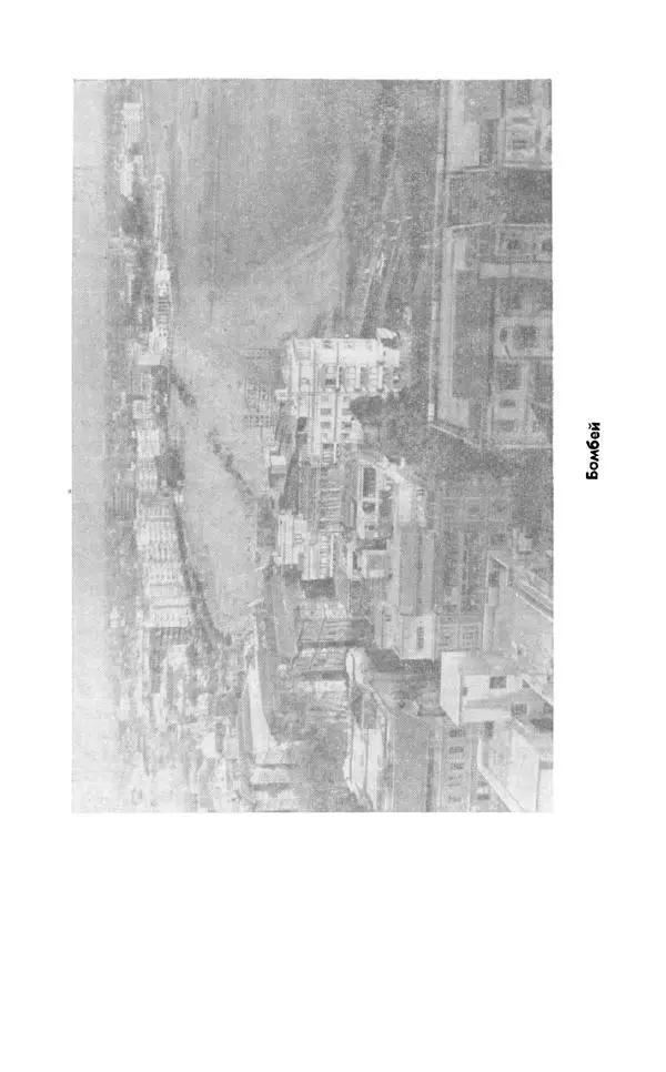 Леонид Алаев - Такой я видел Индию - Страница № 76