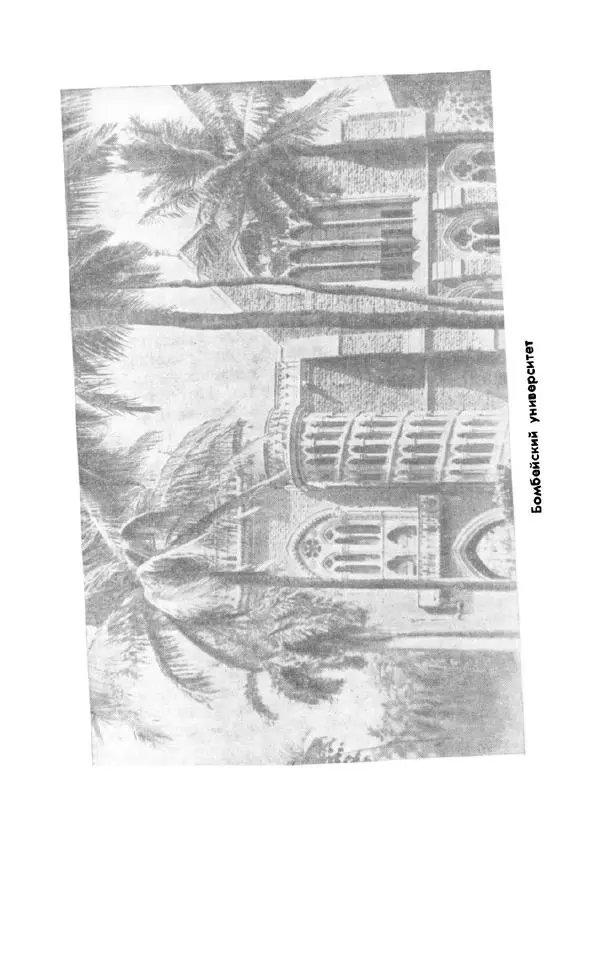 Леонид Алаев - Такой я видел Индию - Страница № 81