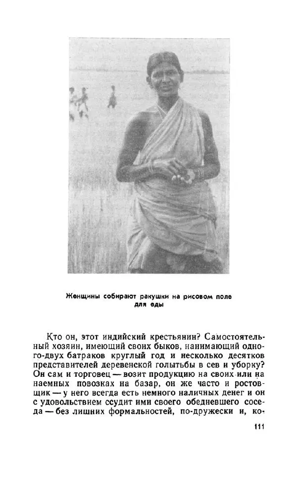 Леонид Алаев - Такой я видел Индию - Страница № 113