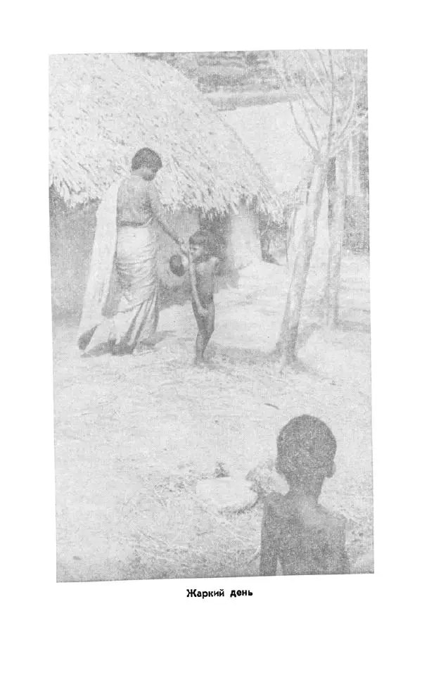 Леонид Алаев - Такой я видел Индию - Страница № 123