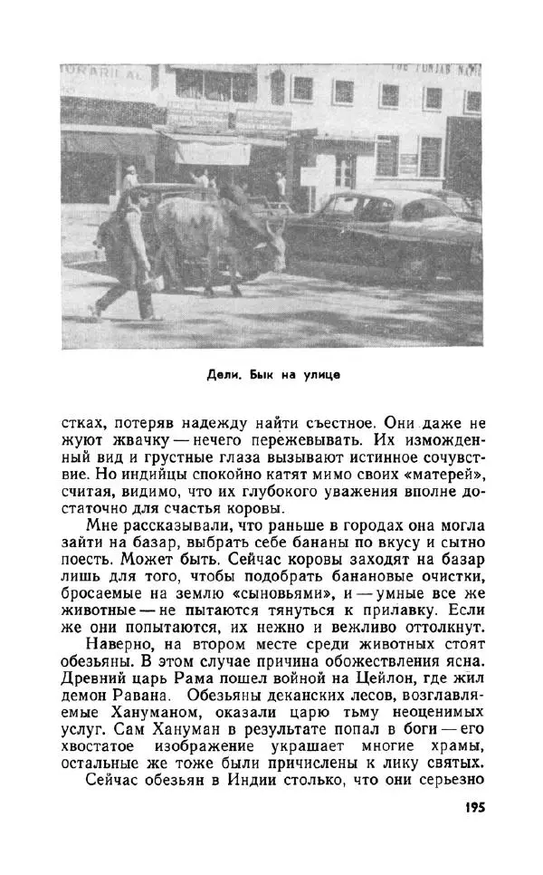 Леонид Алаев - Такой я видел Индию - Страница № 197
