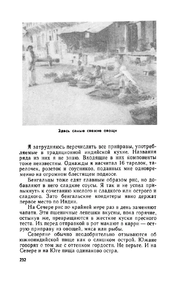 Леонид Алаев - Такой я видел Индию - Страница № 234