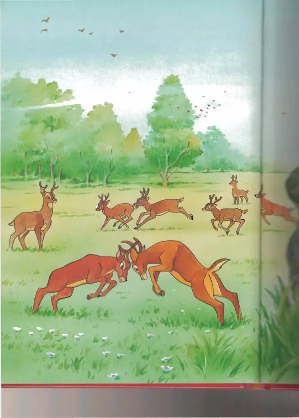 Уолт Дисней - Бэмби - Страница № 46