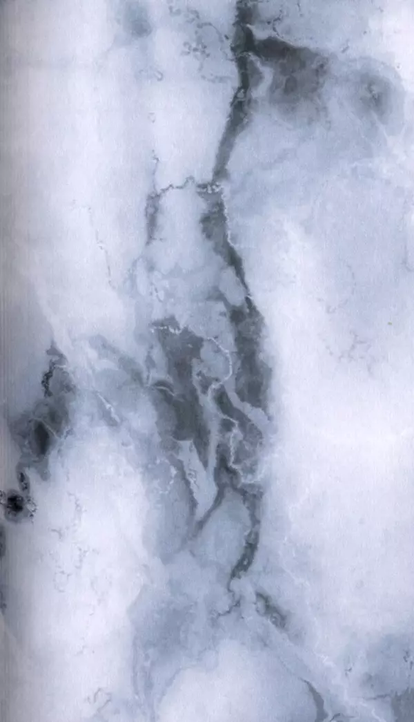 Стефан Грабинский - Демон движения - Страница № 3