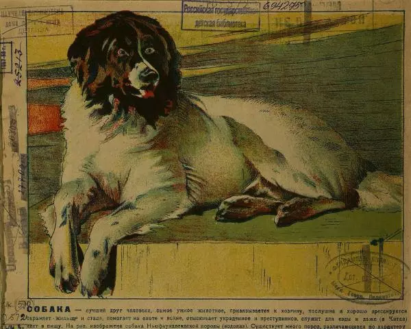  Автор неизвестен - Юный зоолог - Страница № 3