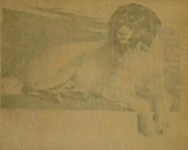  Автор неизвестен - Юный зоолог - Страница № 4