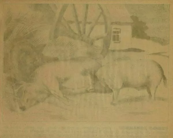  Автор неизвестен - Юный зоолог - Страница № 10