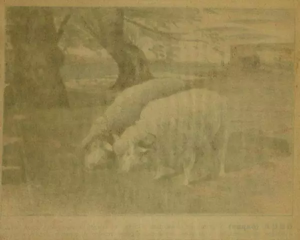  Автор неизвестен - Юный зоолог - Страница № 12