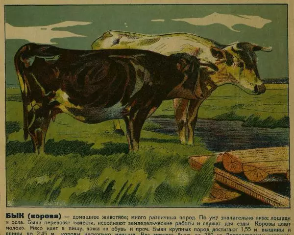  Автор неизвестен - Юный зоолог - Страница № 13