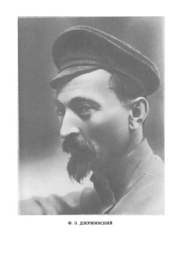 Давид Голинков - Крушение антисоветского подполья в СССР. Том 1 - Страница № 66