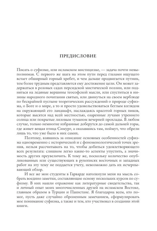 Аннемари Шиммель - Мир исламского мистицизма - Страница № 14
