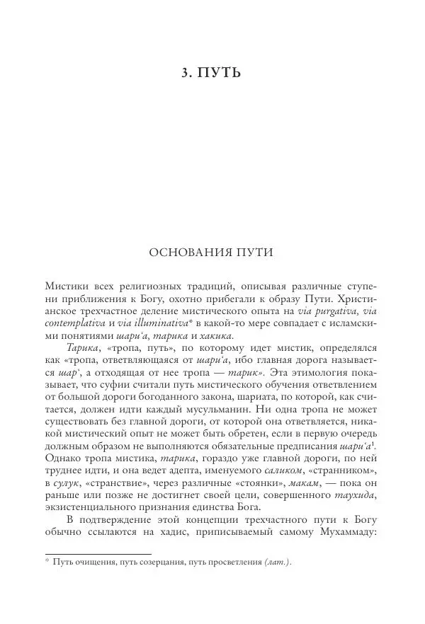 Аннемари Шиммель - Мир исламского мистицизма - Страница № 107