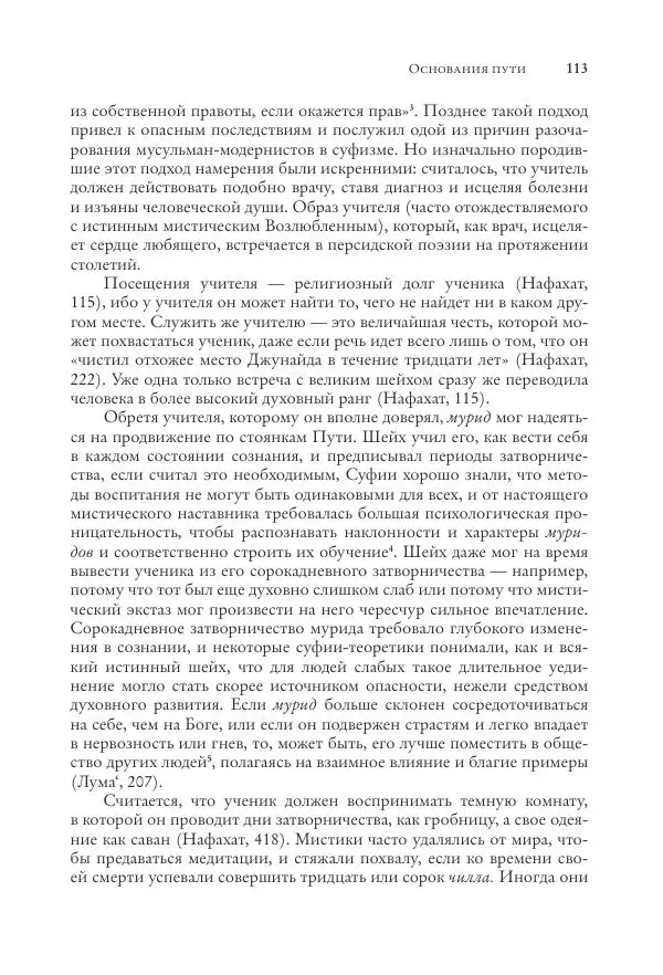 Аннемари Шиммель - Мир исламского мистицизма - Страница № 113