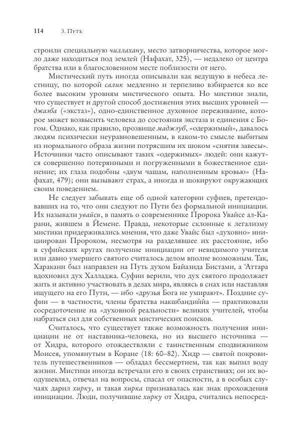 Аннемари Шиммель - Мир исламского мистицизма - Страница № 114